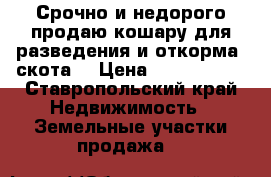 Срочно и недорого продаю кошару для разведения и откорма  скота. › Цена ­ 2 100 000 - Ставропольский край Недвижимость » Земельные участки продажа   